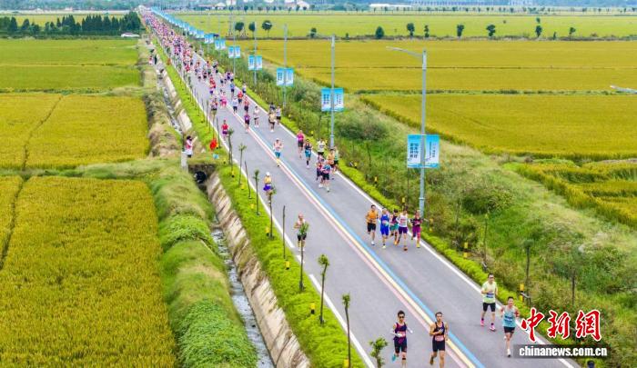 2025江苏泗洪马拉松开跑 6000跑者共赴湿地生态之