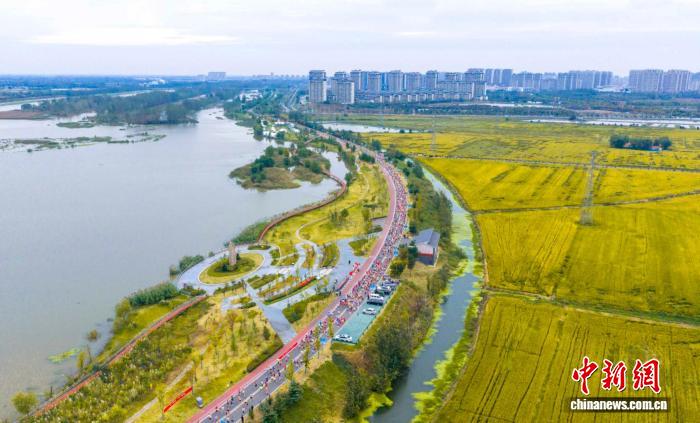 2025江苏泗洪马拉松开跑 6000跑者共赴湿地生态之